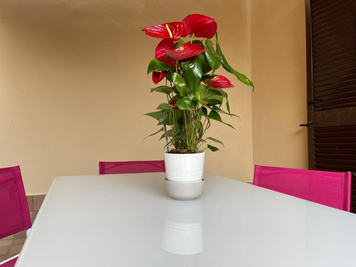 Flowers In روما المظهر الخارجي الصورة